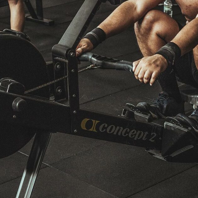 pfeatured_07 Theme Image